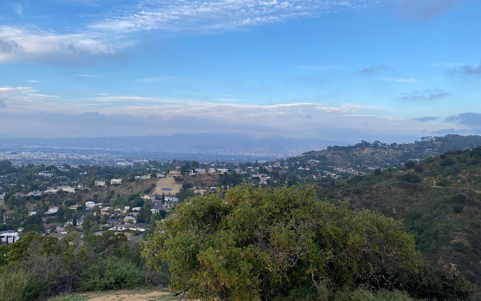 Hillside neighborhoods and distant city skyline seen from a Mulholland Drive overlook
