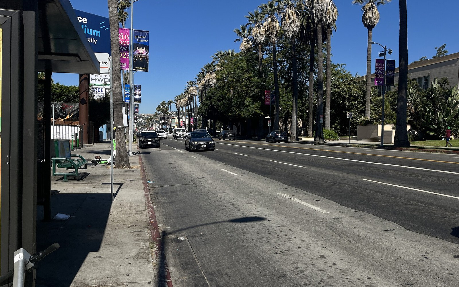 Palm trees line a wide boulevard with cars driving under a bus stop sign